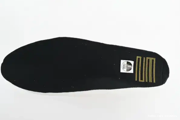 Cheap Husky Jordan DMP CT8012-170 Air 11 0322